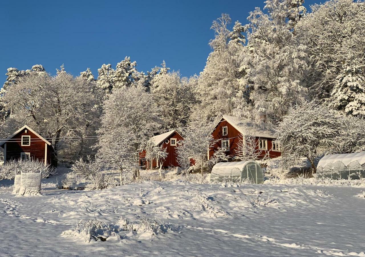 18Th Century Farm Cottage Valdemarsvik Kültér fotó